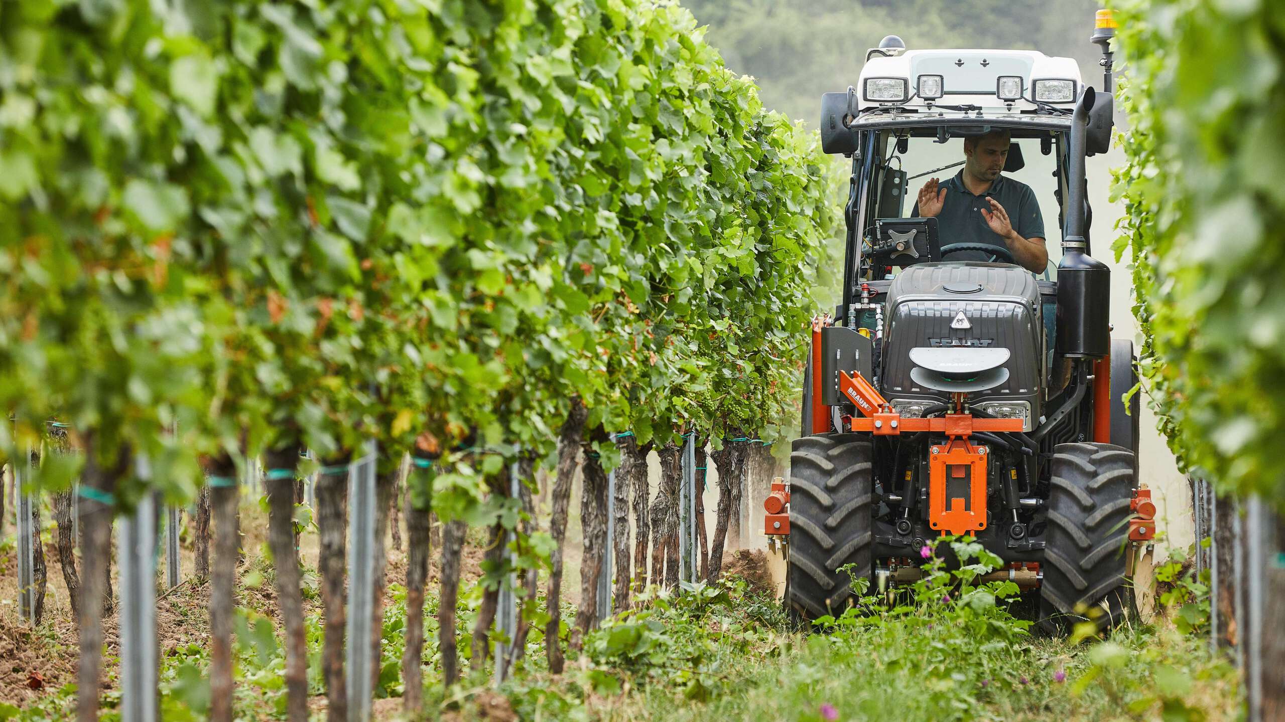 BRAUN VPA autonomes Anbaugerät für den Weinbau Prospekt 279 